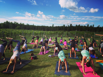Yoga and Wine at Riverbend Winery with Latitude 44